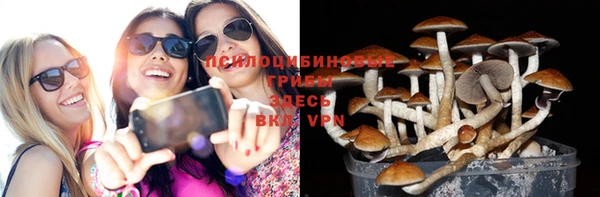 apvp Алексеевка