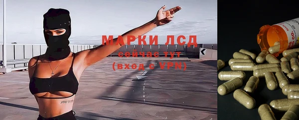 шишки Алзамай