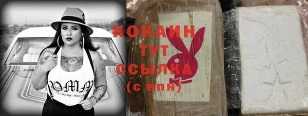 шишки Алзамай