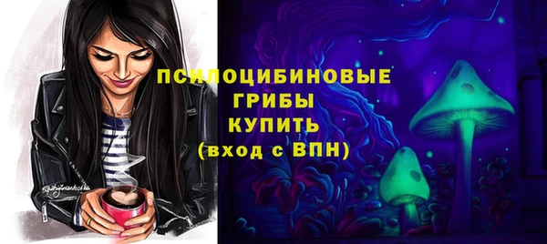 шишки Алзамай
