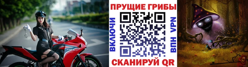 Псилоцибиновые грибы Psilocybe  Геленджик 
